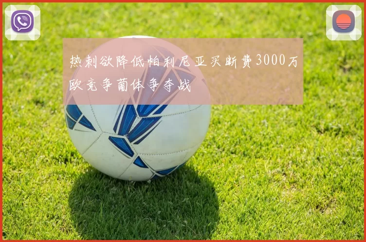 热刺欲降低帕利尼亚买断费3000万欧竞争葡体争夺战